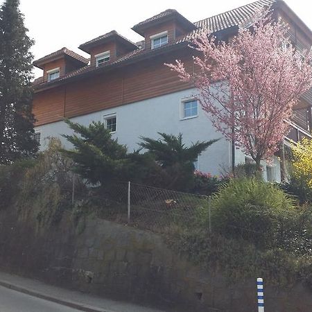 Mayerhofer House Linz Extérieur photo